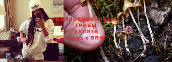 кокс Осташков
