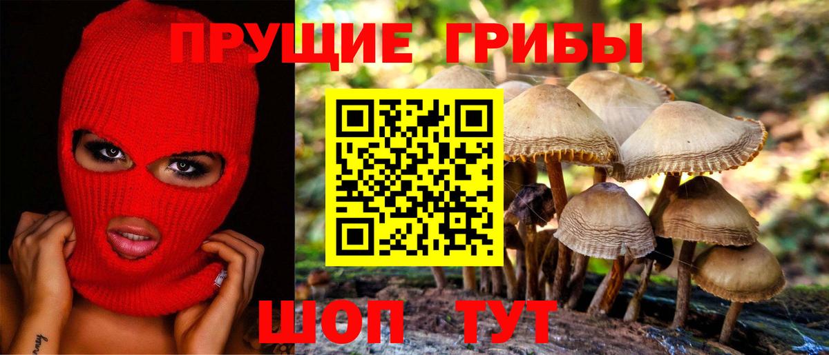 Псилоцибиновые грибы Cubensis  Галлюциногенные грибы мухоморы  Вход с VPN  Ейск 